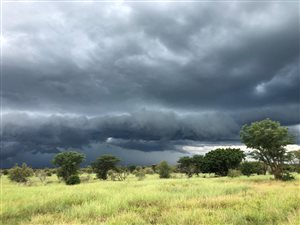 5660 ha Farm in Madikwe