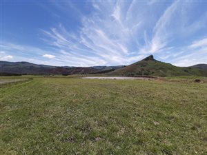 443 ha Farm in Dannhauser