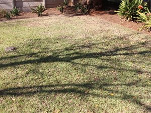 1980 m² Land available in Lynnwood Glen