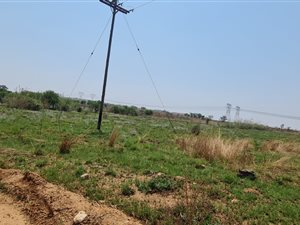 8 ha Farm in Mnandi AH