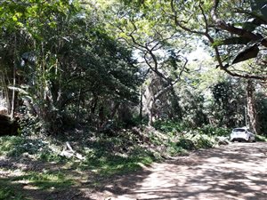 2309 m² Land available in Pumula