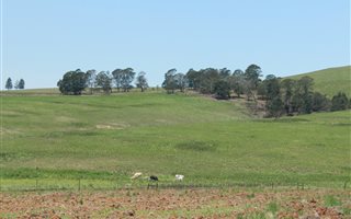 70 ha Land available in Lions River
