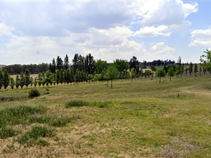 2.4 ha Farm in Panorama