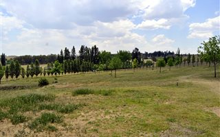 2.4 ha Farm in Panorama