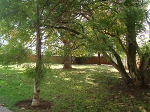 1.5 ha Farm in Bredell AH