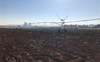 62 ha Land available in Rooiwal