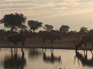 Game Farm in Vryburg