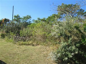 1756 m² Land available in Ramsgate