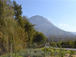 1 ha Farm in Villiersdorp