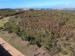 1253 m² Land available in Schoongezicht