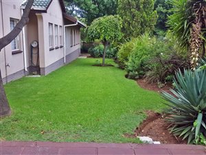 3 Bed House in Witfield