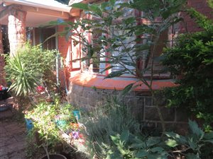 3 Bed House in Orange Grove