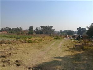 1 m² Farm in Linbro Park