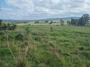3.6 ha Land available in Hutten Heights