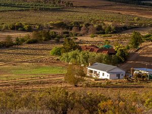 27.9 ha Farm in Montagu