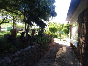 21 ha Farm in Modimolle
