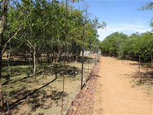 21 ha Farm in Modimolle