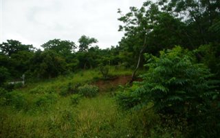 774 m² Land available in Greenwood Park