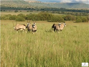 Farm in Marquard