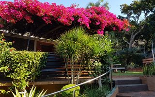 3 Bedroom Duplex in Umgeni Park
