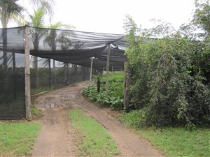 11 ha Farm in Nelspruit