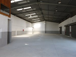 830 m² Commercial space in Phoenix Industrial