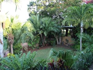 3 Bed House in Fairview