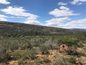 2239 m² Land available in Grahamstown Central