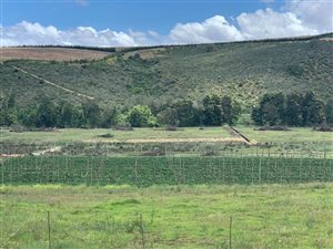 12 ha Farm in Riversdale