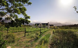 5 Bedroom House in Franschhoek