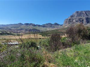 11 ha Farm in Paarl