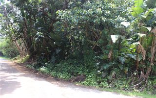 1929 m² Land available in Leisure Bay