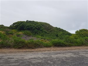 720 m² Land available in Blue Horizon Bay