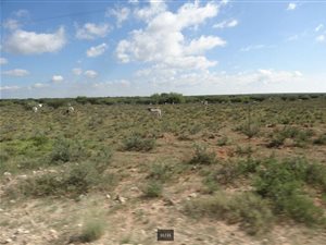 2220 ha Farm in Hopetown