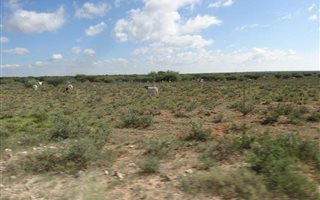 2220 ha Farm in Hopetown