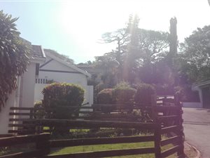 2 Bed Duplex in Montclair