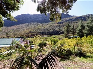 8.6 ha Farm in Citrusdal