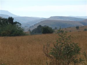 390 m² Land available in Newcastle Central