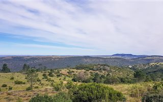 61.5 ha Farm in Grahamstown