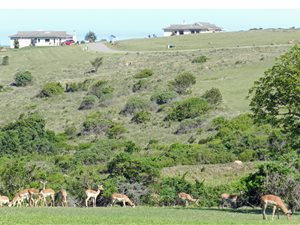 1397 m² Land available in Cintsa
