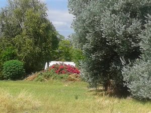 1133 m² Land available in Golden Acre