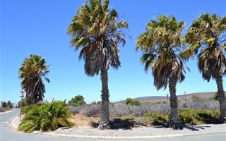 561 m² Land available in Golden Mile