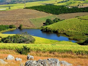 126 ha Farm in Uvongo