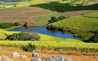 126 ha Farm in Uvongo