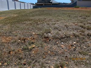 600 m² Land available in Monte Christo