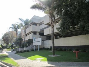 560 m² Office Space in Rosebank