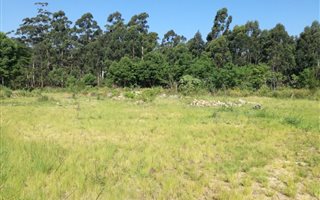 10.5 ha Farmland in Marina Beach