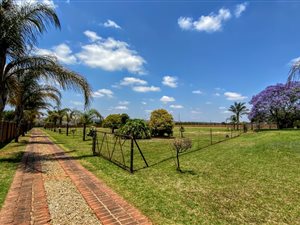 6.1 ha Smallholding in Rietfontein