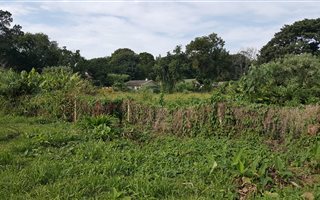 1837 m² Land available in Eshowe