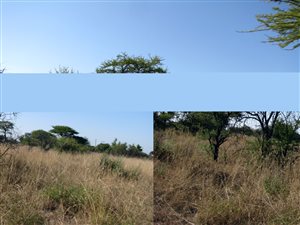 4.2 ha Farm in Bela-Bela (Warmbaths)